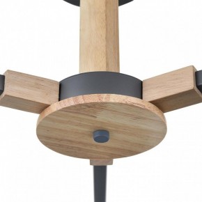Люстра на штанге Lumion Colange 8096/3C в Елабуге - elabuga.ok-mebel.com | фото 7