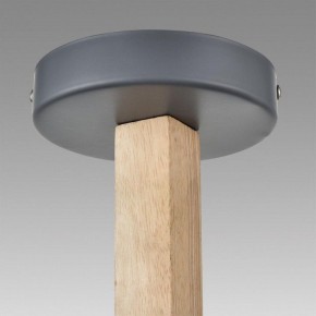 Люстра на штанге Lumion Colange 8096/3C в Елабуге - elabuga.ok-mebel.com | фото 9