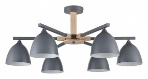 Люстра на штанге Lumion Colange 8096/6C в Елабуге - elabuga.ok-mebel.com | фото