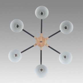 Люстра на штанге Lumion Colange 8096/6C в Елабуге - elabuga.ok-mebel.com | фото 4