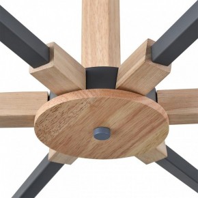 Люстра на штанге Lumion Colange 8096/6C в Елабуге - elabuga.ok-mebel.com | фото 7
