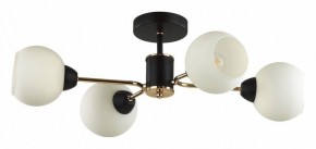 Люстра на штанге Lumion KODI 5646/4C в Елабуге - elabuga.ok-mebel.com | фото