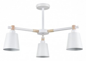 Люстра на штанге Lumion Rosalina 8097/3C в Елабуге - elabuga.ok-mebel.com | фото