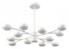 Люстра на штанге Lumion TORINA 8265/12 в Елабуге - elabuga.ok-mebel.com | фото