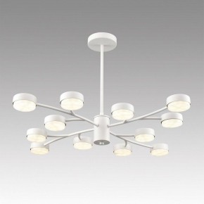 Люстра на штанге Lumion TORINA 8265/12 в Елабуге - elabuga.ok-mebel.com | фото 3