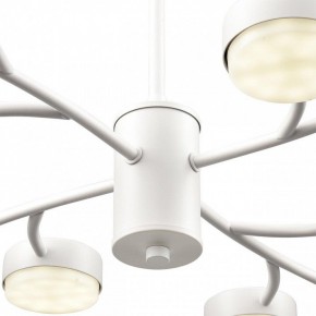 Люстра на штанге Lumion TORINA 8265/12 в Елабуге - elabuga.ok-mebel.com | фото 8