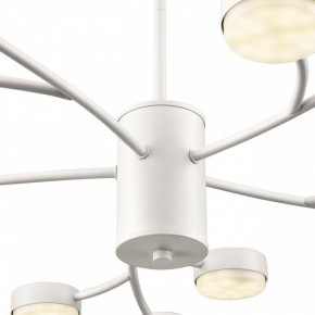 Люстра на штанге Lumion TORINA 8265/15 в Елабуге - elabuga.ok-mebel.com | фото 8