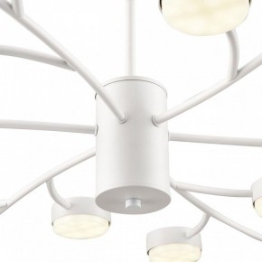 Люстра на штанге Lumion TORINA 8265/18 в Елабуге - elabuga.ok-mebel.com | фото 8