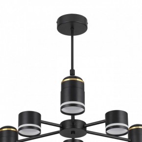 Люстра на штанге Lumion Virsava 8234/6C в Елабуге - elabuga.ok-mebel.com | фото 5