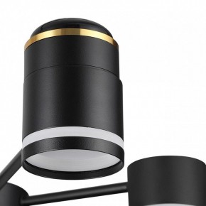 Люстра на штанге Lumion Virsava 8234/6C в Елабуге - elabuga.ok-mebel.com | фото 8