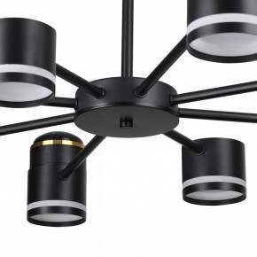 Люстра на штанге Lumion Virsava 8234/8C в Елабуге - elabuga.ok-mebel.com | фото 10