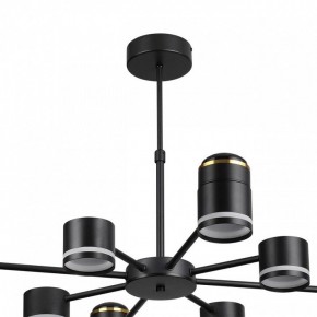 Люстра на штанге Lumion Virsava 8234/8C в Елабуге - elabuga.ok-mebel.com | фото 5