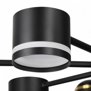 Люстра на штанге Lumion Virsava 8234/8C в Елабуге - elabuga.ok-mebel.com | фото 8