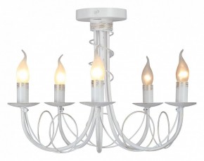 Люстра на штанге Vitaluce V3035 V3035-0/5PL в Елабуге - elabuga.ok-mebel.com | фото 2