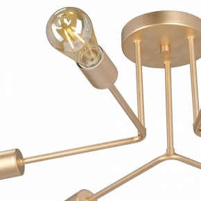 Люстра на штанге Vitaluce V3071 V3071-8/6PL в Елабуге - elabuga.ok-mebel.com | фото 6