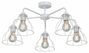 Люстра на штанге Vitaluce V3102 V3102-0/5PL в Елабуге - elabuga.ok-mebel.com | фото