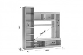 МАКСИ К1 Стенка для гостиной дуб сонома/белое дерево в Елабуге - elabuga.ok-mebel.com | фото 1