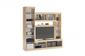 МАКСИ Мини-стенка дуб сонома/белое дерево в Елабуге - elabuga.ok-mebel.com | фото 1