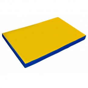 Мат гимнастический, прямоугольный. Длина 2 м, ширина 1 м, толщина 5 см синий-желтый   в Елабуге - elabuga.ok-mebel.com | фото