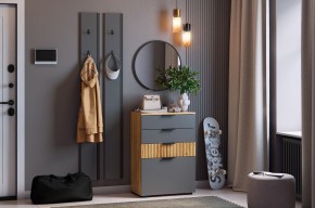 МЕБЕЛЬСОН К21 Прихожая в Елабуге - elabuga.ok-mebel.com | фото 2