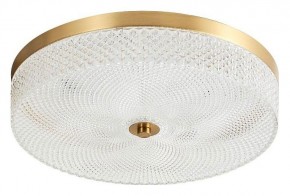 Накладной светильник Arti Lampadari Viro Viro L 1.13.35x9 G в Елабуге - elabuga.ok-mebel.com | фото