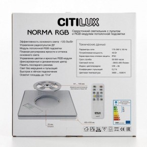 Накладной светильник Citilux Norma CL749K301 в Елабуге - elabuga.ok-mebel.com | фото 10