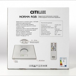 Накладной светильник Citilux Norma CL749K400 в Елабуге - elabuga.ok-mebel.com | фото 17