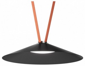 Накладной светильник Denkirs Belty Flow DK5568-BK в Елабуге - elabuga.ok-mebel.com | фото 2