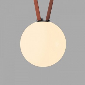 Накладной светильник Denkirs Belty Orb DK5555-BK в Елабуге - elabuga.ok-mebel.com | фото 2