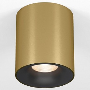 Накладной светильник Elektrostandard Primo 25116/LED в Елабуге - elabuga.ok-mebel.com | фото