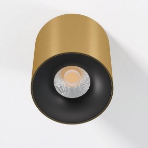 Накладной светильник Elektrostandard Primo 25116/LED в Елабуге - elabuga.ok-mebel.com | фото 2