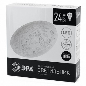 Накладной светильник Эра Классик SPB-6-24-4K (C) в Елабуге - elabuga.ok-mebel.com | фото 4