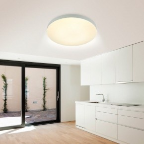 Накладной светильник Эра Relict Relict 48 Pult SPB-6-60-RC WH в Елабуге - elabuga.ok-mebel.com | фото 9