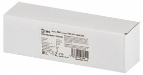 Накладной светильник Эра  TRM-S5-1-6W4K-WH в Елабуге - elabuga.ok-mebel.com | фото 6