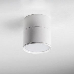 Накладной светильник Lightstar Acuto 215886 в Елабуге - elabuga.ok-mebel.com | фото 3