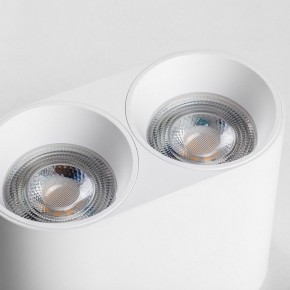 Накладной светильник Lightstar Rullo 213466 в Елабуге - elabuga.ok-mebel.com | фото 6