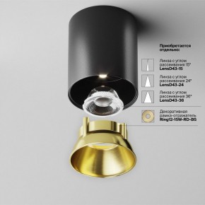 Накладной светильник Maytoni Alfa LED C064CL-12W4K-RD-B в Елабуге - elabuga.ok-mebel.com | фото 3