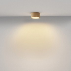 Накладной светильник Maytoni Zon C032CL-12W2.7K-RD-MG в Елабуге - elabuga.ok-mebel.com | фото 4