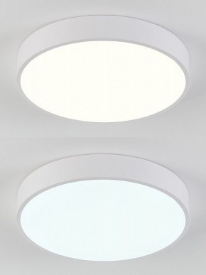 Накладной светильник Natali Kovaltseva  LED LAMPS 81111/5C в Елабуге - elabuga.ok-mebel.com | фото 4