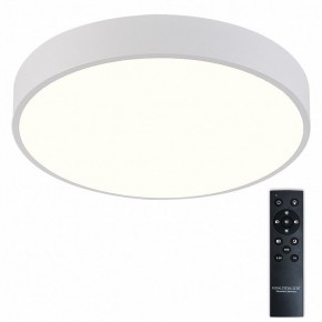 Накладной светильник Natali Kovaltseva  LED LAMPS 81112/5C в Елабуге - elabuga.ok-mebel.com | фото 2