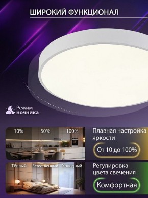 Накладной светильник Natali Kovaltseva  LED LAMPS 81112/5C в Елабуге - elabuga.ok-mebel.com | фото 5