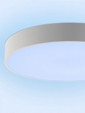 Накладной светильник Natali Kovaltseva MODERN LED LAMPS 81105/1C в Елабуге - elabuga.ok-mebel.com | фото 11