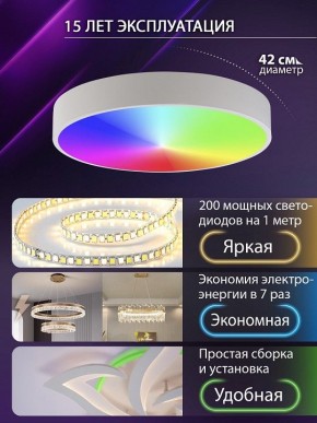 Накладной светильник Natali Kovaltseva MODERN LED LAMPS 81105/1C в Елабуге - elabuga.ok-mebel.com | фото 6