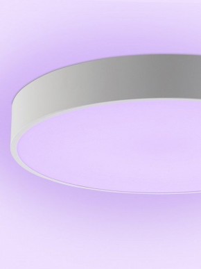 Накладной светильник Natali Kovaltseva MODERN LED LAMPS 81105/1C в Елабуге - elabuga.ok-mebel.com | фото 9
