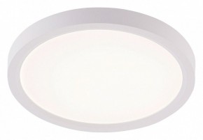 Накладной светильник Natali Kovaltseva PLAIN LED LAMPS 81113/1C в Елабуге - elabuga.ok-mebel.com | фото