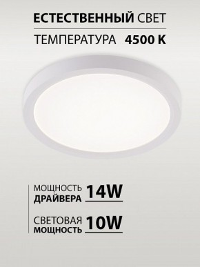Накладной светильник Natali Kovaltseva PLAIN LED LAMPS 81113/1C в Елабуге - elabuga.ok-mebel.com | фото 4
