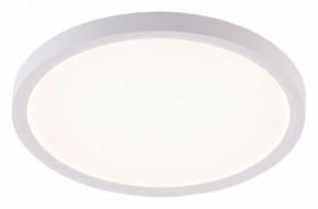 Накладной светильник Natali Kovaltseva PLAIN LED LAMPS 81113/2C в Елабуге - elabuga.ok-mebel.com | фото