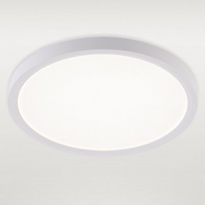 Накладной светильник Natali Kovaltseva PLAIN LED LAMPS 81113/2C в Елабуге - elabuga.ok-mebel.com | фото 2