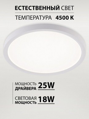 Накладной светильник Natali Kovaltseva PLAIN LED LAMPS 81113/2C в Елабуге - elabuga.ok-mebel.com | фото 3