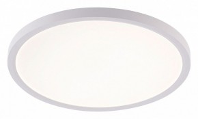 Накладной светильник Natali Kovaltseva PLAIN LED LAMPS 81113/3C в Елабуге - elabuga.ok-mebel.com | фото